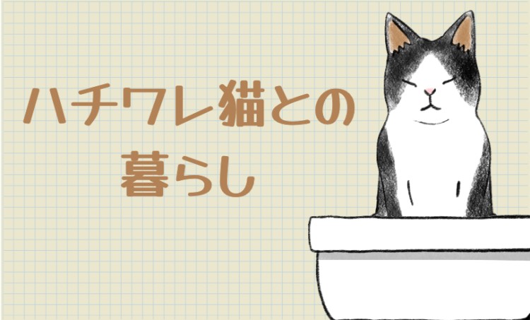 cook 今日なに作ろ？